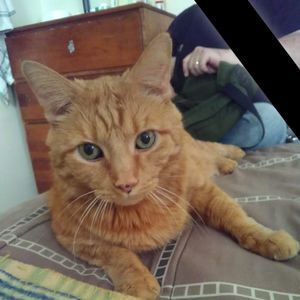 Meet your Posher, Jamie